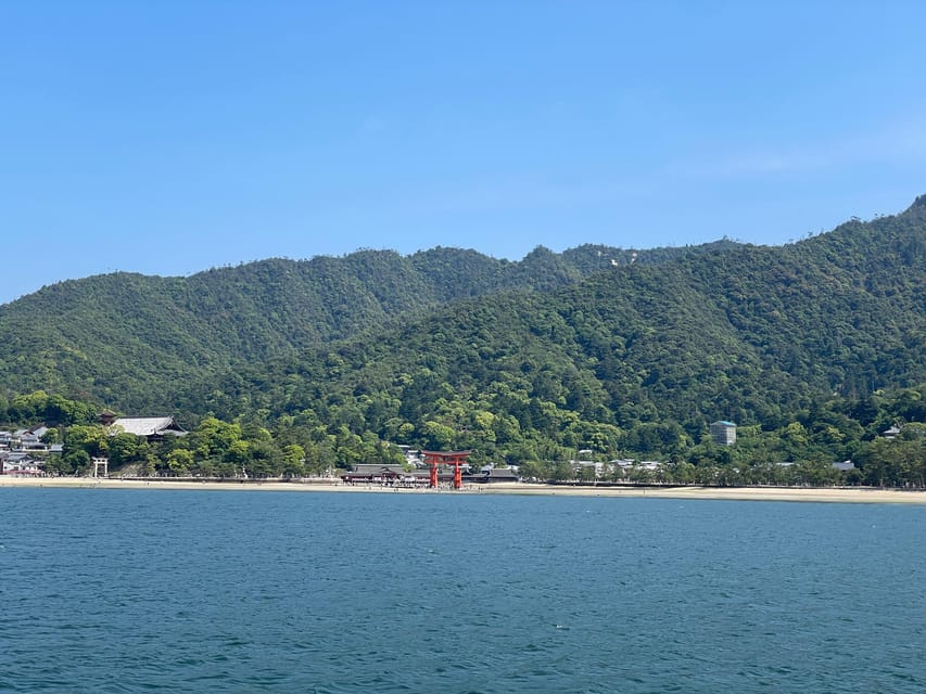 Hiroshima & Miyajima Tour Review: A Local Experience - Customizable Itinerary Options