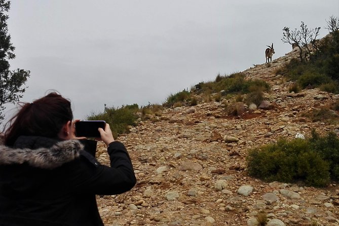 Historical Montserrat Half-Day Hiking Tour From Barcelona - Guided Nature Hike