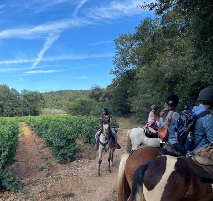 Horse Back Riding + Wine Tasting in the Maures Forest - Wine Tasting at Clos Servien