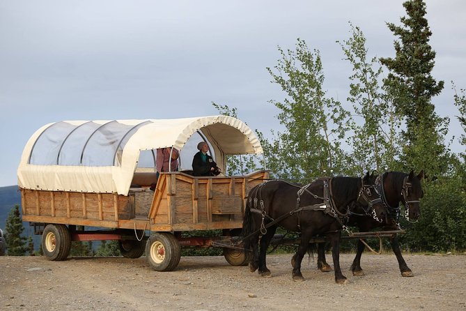 Horse-Drawn Covered Wagon Ride With Backcountry Dining - Accessibility and Age Restrictions