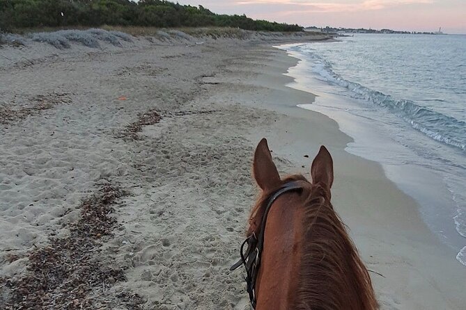 Horse Ride in a Salento Nature Reserve With Transfer From Lecce - Activity Details