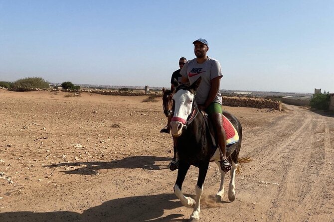 Horse Riding Agadir - Customized for All Skill Levels