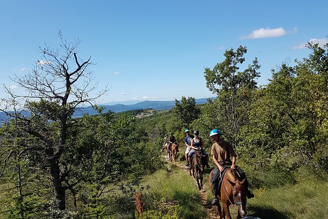 Horse Riding in Haute Provence, Luberon, and Forcalquier - Suitability and Accessibility