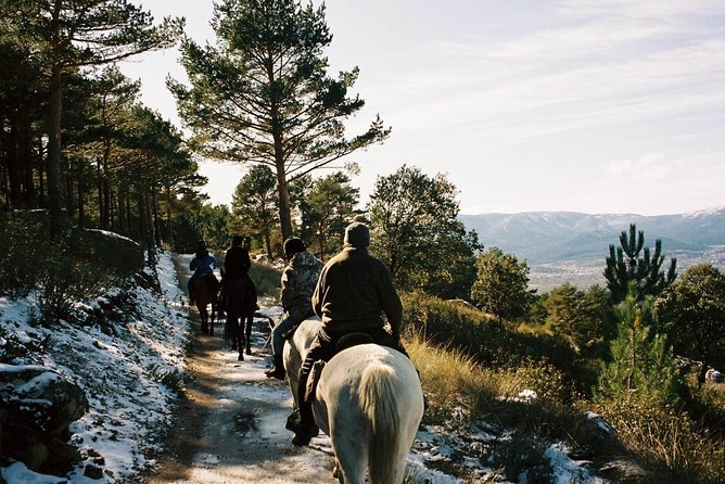 Horse Riding Madrid Natural Park (long Trip) - Lunch Provided