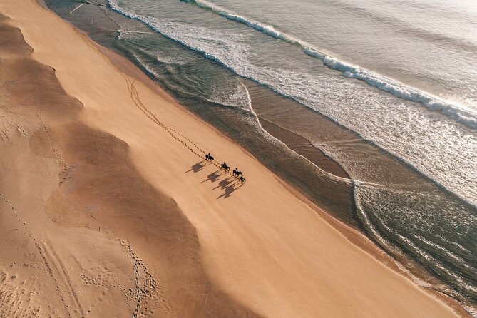 Horse Riding on the Beach With Private Transfer From Lisbon - Booking and Confirmation