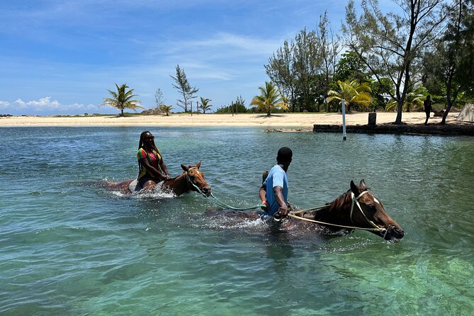 Horseback Ride and Swim Private Tour From Montego Bay - Customer Feedback Highlights