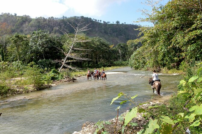 Horseback Riding Across Indigenous Trails Puerto Plata - Tour Capacity and Flexibility