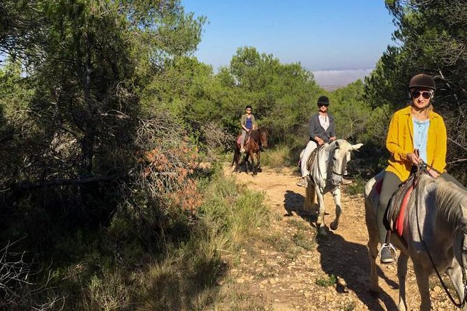 Horseback Riding and Wine Tour - Experience Reviews