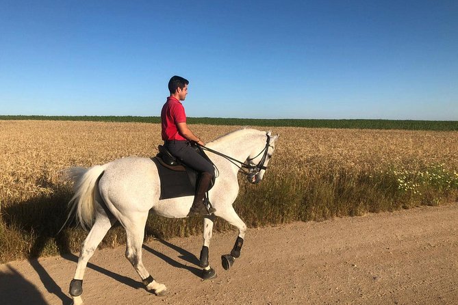 Horseback Riding Around Doñana - Meeting Point Details