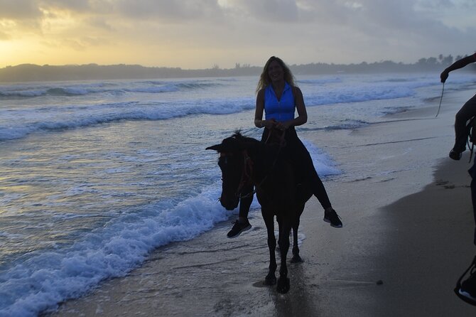 Horseback Riding at Sunrise on the Beach of Punta Cana - Horseback Riding Experience