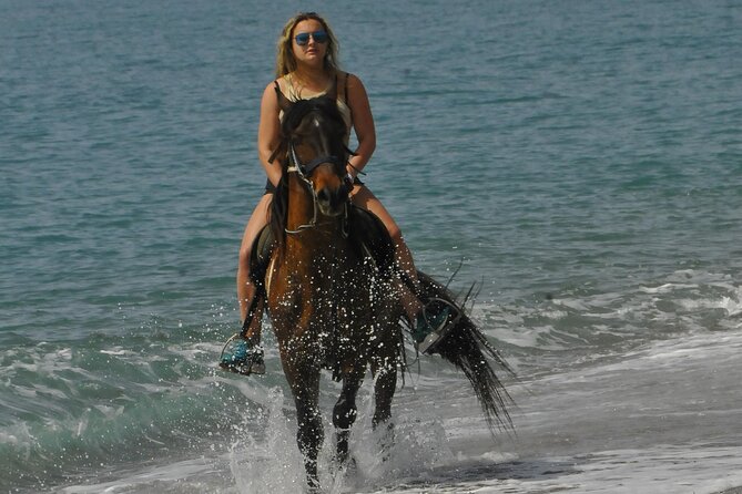 Horseback Riding by Beach or Forest in Manavgat Side - Tour Policies