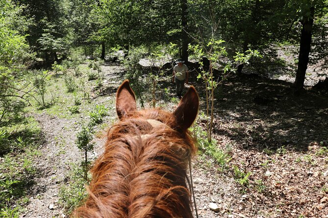 Horseback Riding in Azerbaijan - Pickup and Communication Details