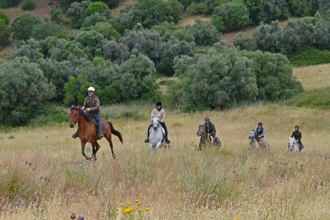 Horseback Riding In Lisbon - Arrábida - Louro Trail Mountain 5 - 6 Hours - Inclusion Details