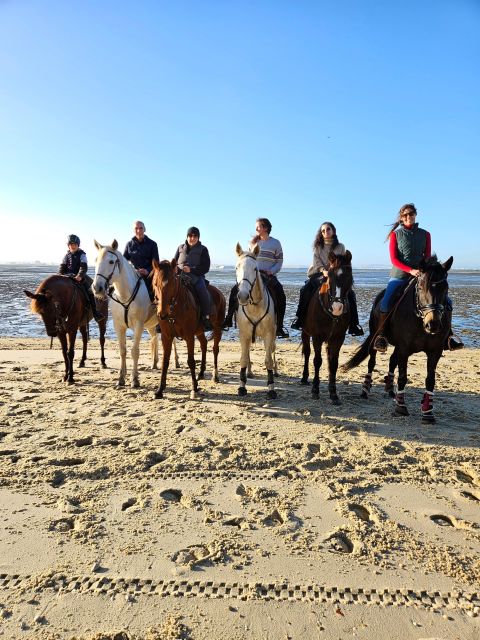 Horseback Riding on the Beach - Participant Requirements