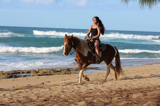 Horseback Riding Through Secluded Beaches and Tropical Forests - Exploring Secluded Beaches