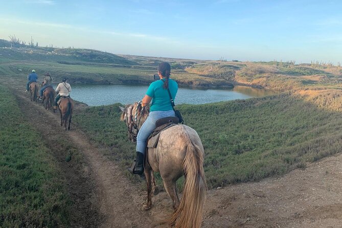 Horseback Riding Wariruri Beach Tour in Aruba - Tour Logistics and Duration