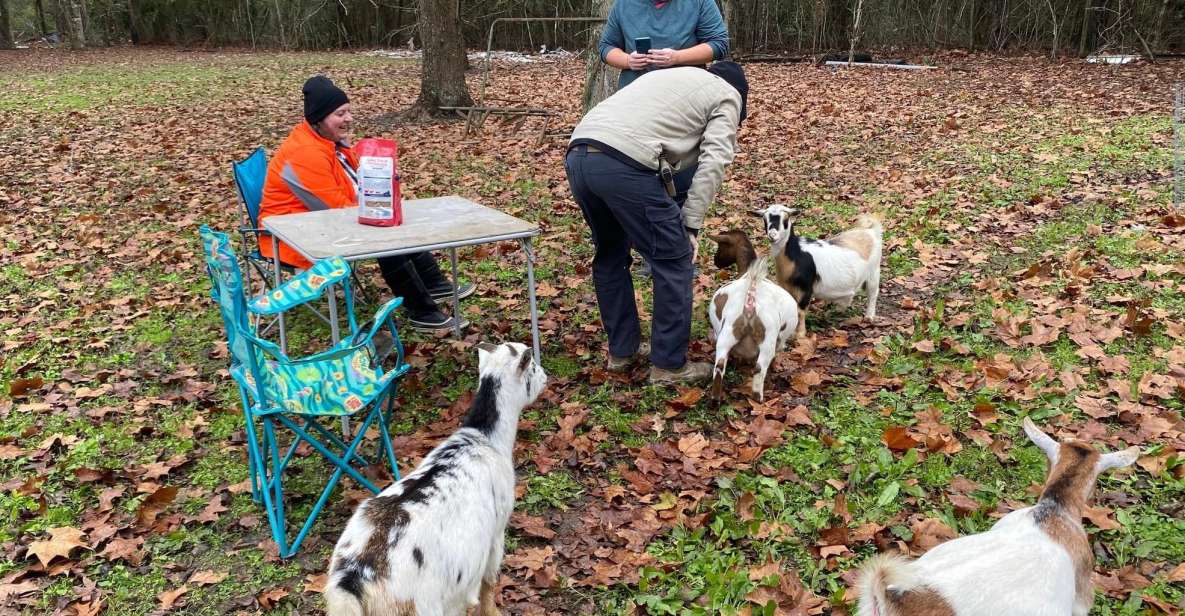 Houston: Adorable Mini Goats Experience E - Location