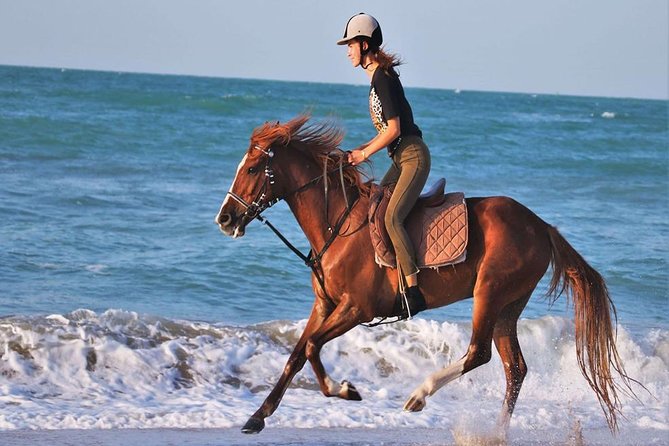 Hurghada: 2 Hours Camel and Horse Riding Adventure on The Sea. - Riding Into the Sea