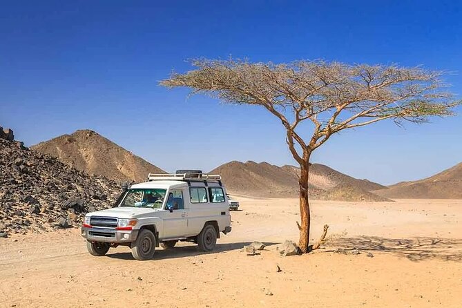 Hurghada: Safari 4x4 Jeep, Camel Ride, Dinner & Star Watching - Dinner and Drinks