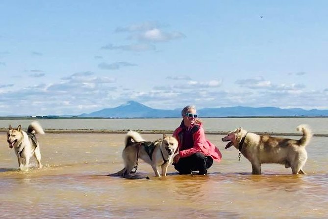 Husky Sledding Small-Group Tour From Capital Region - Tour Duration and Size