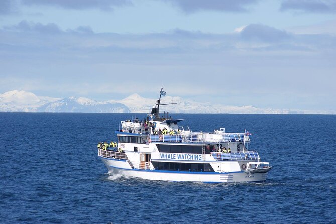 Icelandic Horse Riding and Whale Watching Tour From Reykjavik - Meeting and End Points