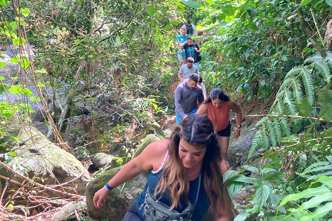 Immersive Small Group Rainforest Adventure With Transportation - What to Bring