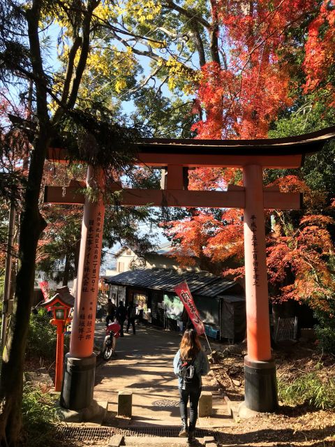 Inside of Fushimi Inari - Exploring and Lunch With Locals - Customer Feedback