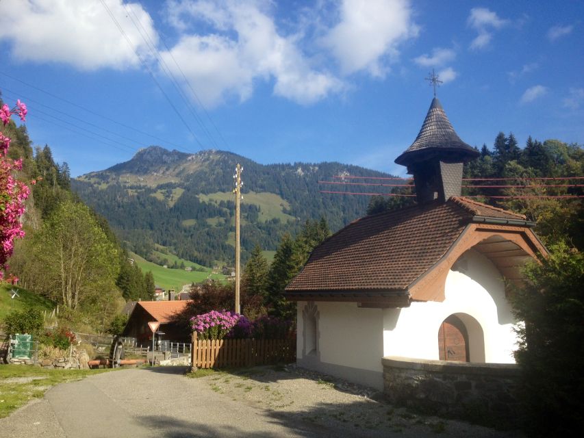 Interlaken: Cheese and Chocolate Full-Day Food Tour - Discovering Berns UNESCO Old Town