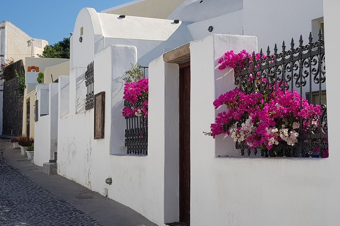 Intimate Santorini - Small Group Shore Excursion and Wine Tasting - Traditional Village of Megalochori