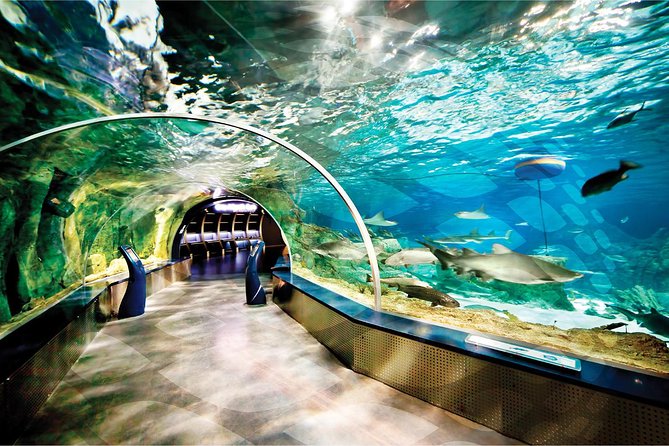 Istanbul Aquarium and Aqua Florya Independent Shopping Trip - Reviews