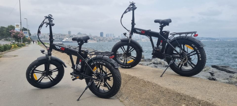 Istanbul E-Bike Rental - Electirick E-Bike or Standart Bike - Discovering Citys History and Culture