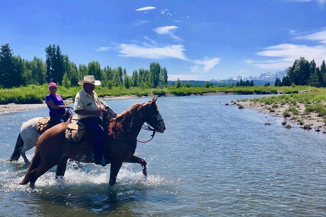 Jackson Hole Horseback Riding in the Bridger-Teton National Forest - Guest Experiences and Feedback