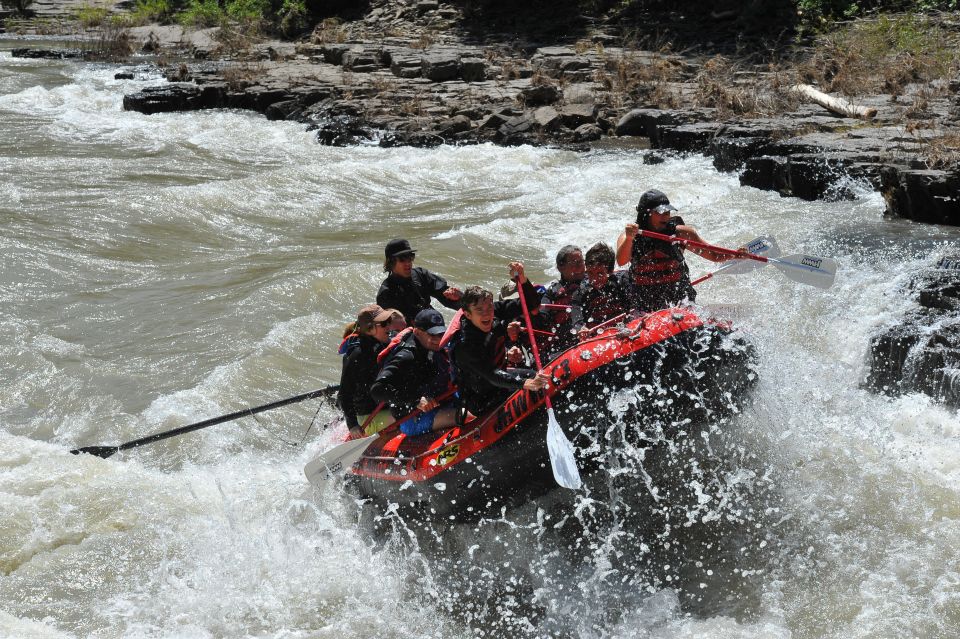 Jackson: Snake River Class 2-3 Whitewater Rafting Adventure - Rafting Experience