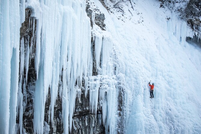 Johnston Canyon Frozen Waterfalls & Banff Backroads Wildlife Tour - Tour Duration & Inclusions