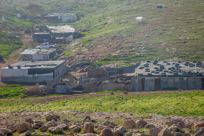 Judean Desert Jeep Adventure From Jerusalem - Wadi Qelt Nature Reserve