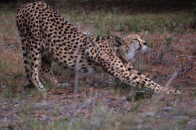 Jukani Wildlife Sanctuary Admission With Guided Tour - Indemnity Form Requirement