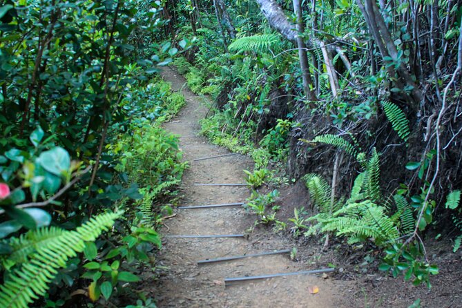 Jungle Expedition Tour at Kualoa Ranch - Storage and Health Protocols