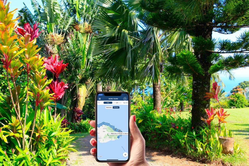 Kahului: Self-Driving Audio Tour of Road to Hana - Customer Reviews and Feedback