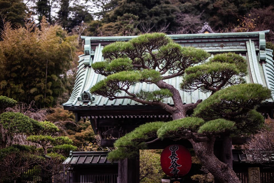 Kamakura: Full Day Private Tour With English Guide - Kotoku-in (Great Buddha)