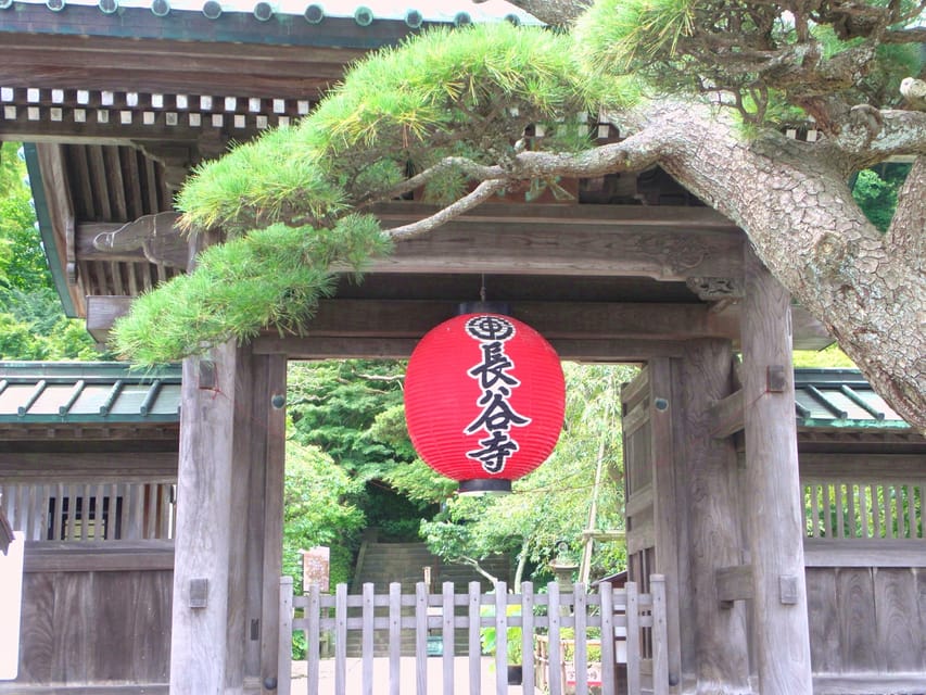 Kamakura Temples Private Guided Tour - Accessibility