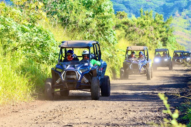 Kauai ATV Backroads Adventure Tour - Guides and Reviews