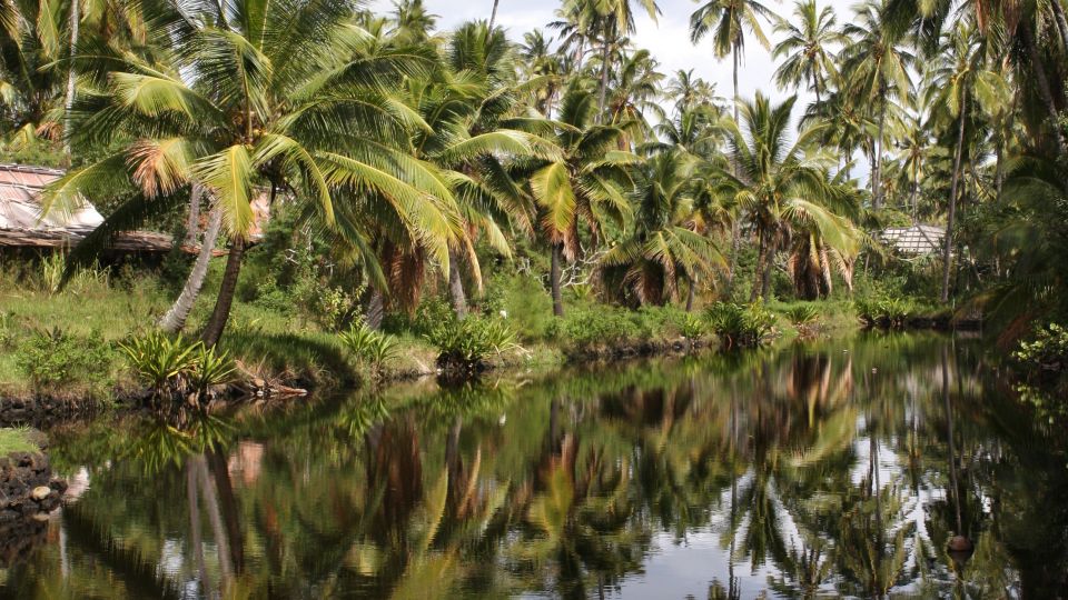 Kauai: Movie Locations Tour - Exclusive Access to Coco Palms