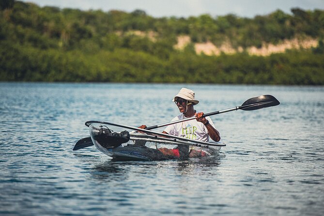 Kayak Eco Adventures Glass Kayak Nature and Snorkeling Tour - Customer Reviews and Feedback