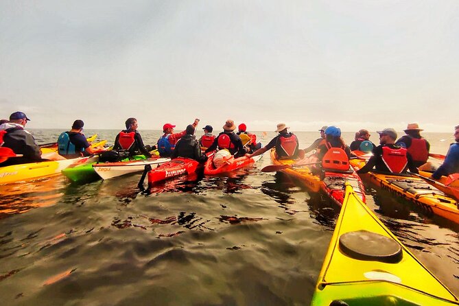 Kayak Excursion to Cova Dels Coloms From Platja Mascarat - Inclusions