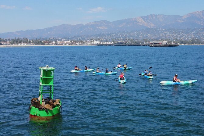 Kayak Tour of Santa Barbara With Experienced Guide - Booking Information