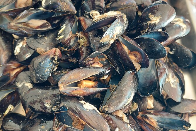 Kayaking and Mussels Tasting at Krka River Estuary-Private Tours - Provided Kayaking Equipment Details