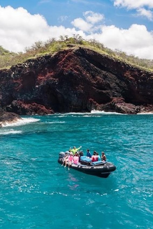 Kealakekua Bay: Snorkel and Coastal Adventure With Lunch - Important Considerations