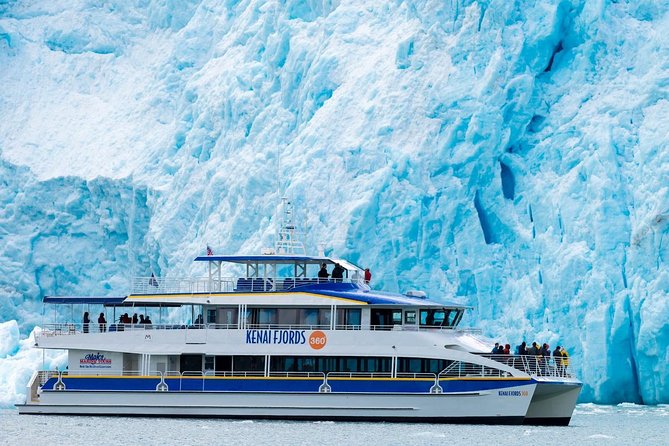 Kenai Fjords National Park Glacier & Wildlife Cruise - Glacier and Calving Ice