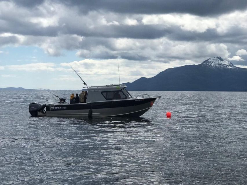 Ketchikan: Salmon and Halibut Combo Fishing Charter - Experienced Captains