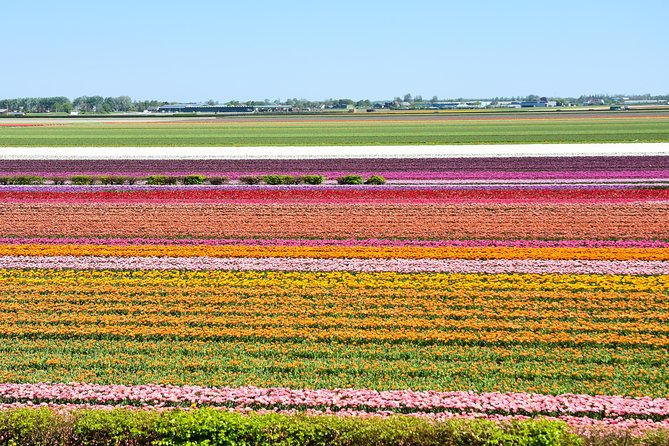 Keukenhof, Flower Fields, Volendam and Zaanse Schans Small-Group Tour - Zaanse Schans Attractions